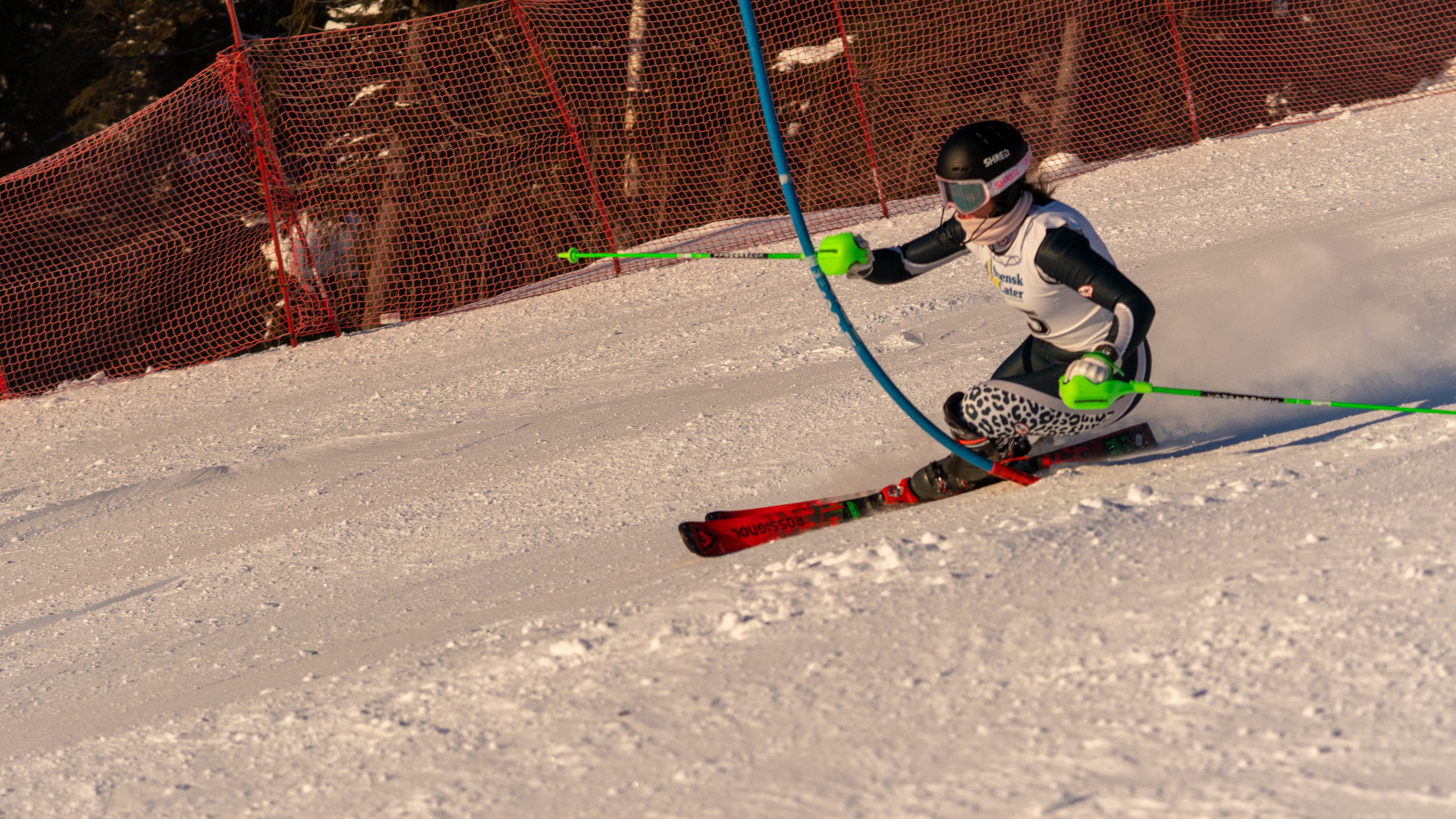 Peregrine alpine ski racer training on the race course at golden hour